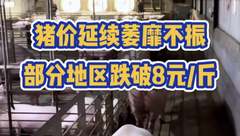 9月22日生猪价格：“旺季不旺”！猪价呈现下跌态势，中秋国庆能否支撑猪价上涨？