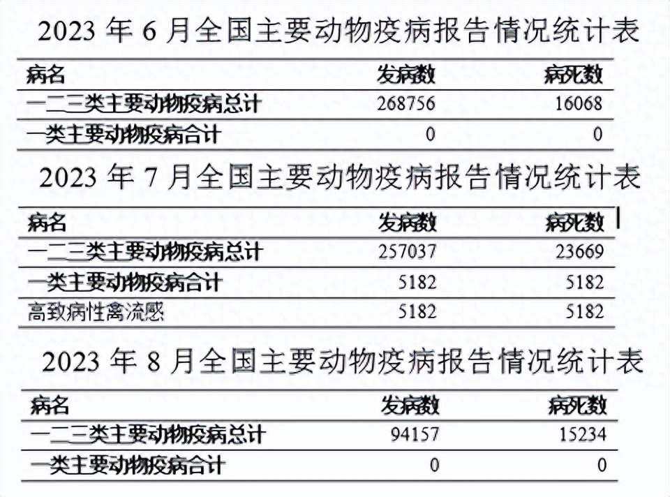 国外非瘟肆虐，多地扑杀生猪！我国禁止多国猪肉进口！利好猪价？