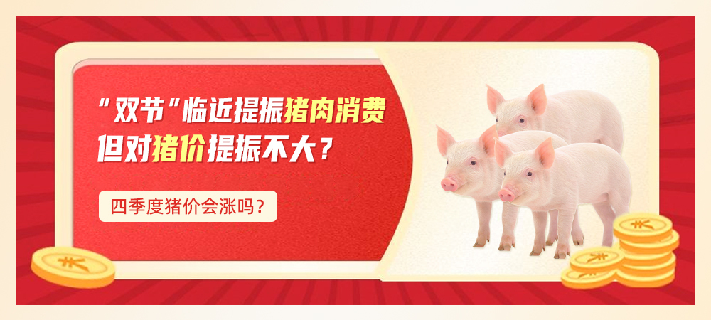 “双节”临近提振猪肉消费，但对猪价提振不大？四季度猪价会涨吗？