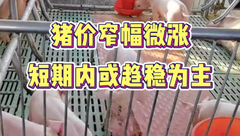 9月27日生猪价格：涨势被点燃，市场支撑力度并不大，中秋、国庆能涨多少？