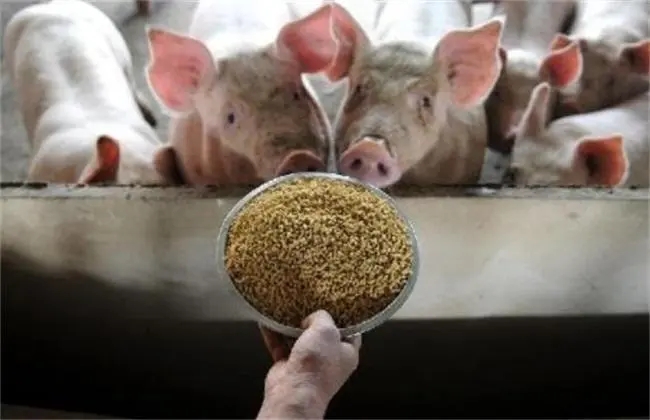  2022年全球猪饲料产量3.194亿吨，比2021年下降了2.98%