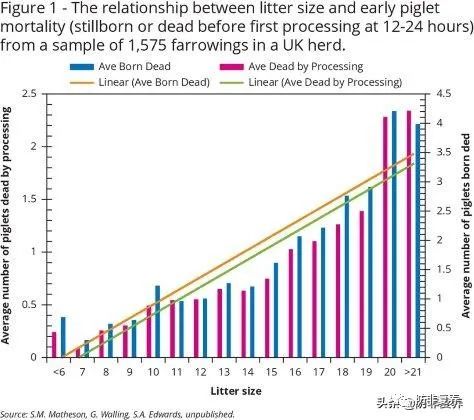 窝产仔数与仔猪存活率之间的关系