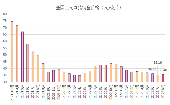 全国二元母猪销售价格