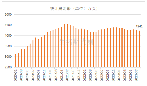 能繁母猪存栏