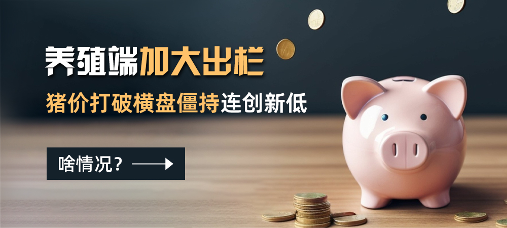 养殖端加大出栏，猪价打破横盘僵持连创新低！啥情况？