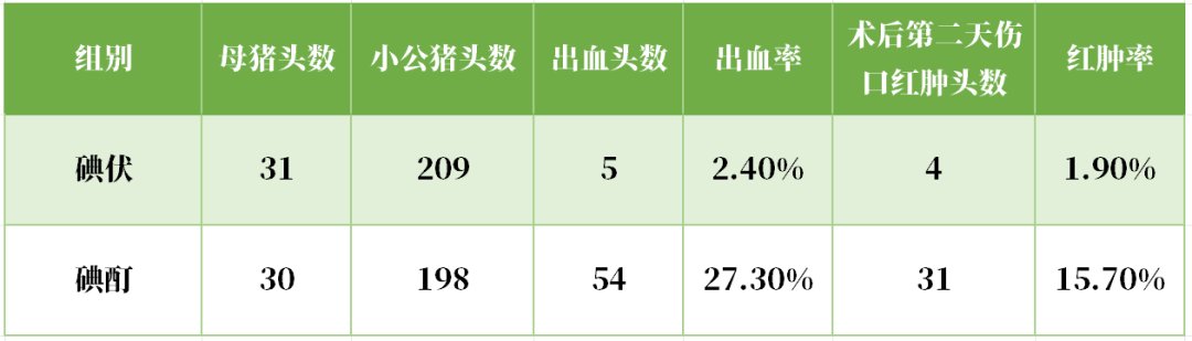 仔猪阉割后使用碘酊还是碘酒消毒更好？看完就明白了！
