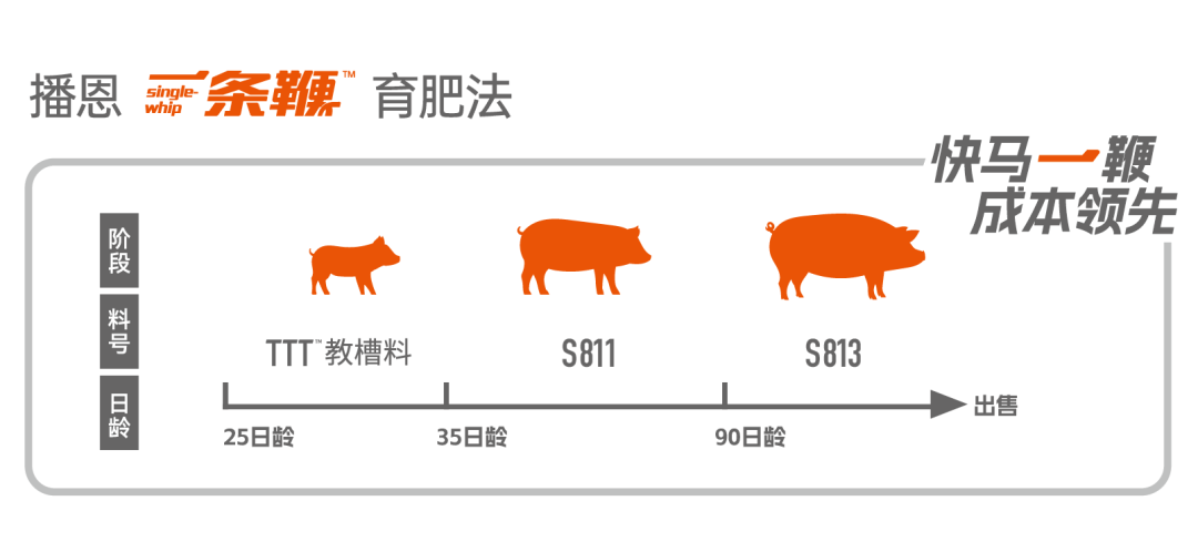 一条鞭8%猪复合预混料