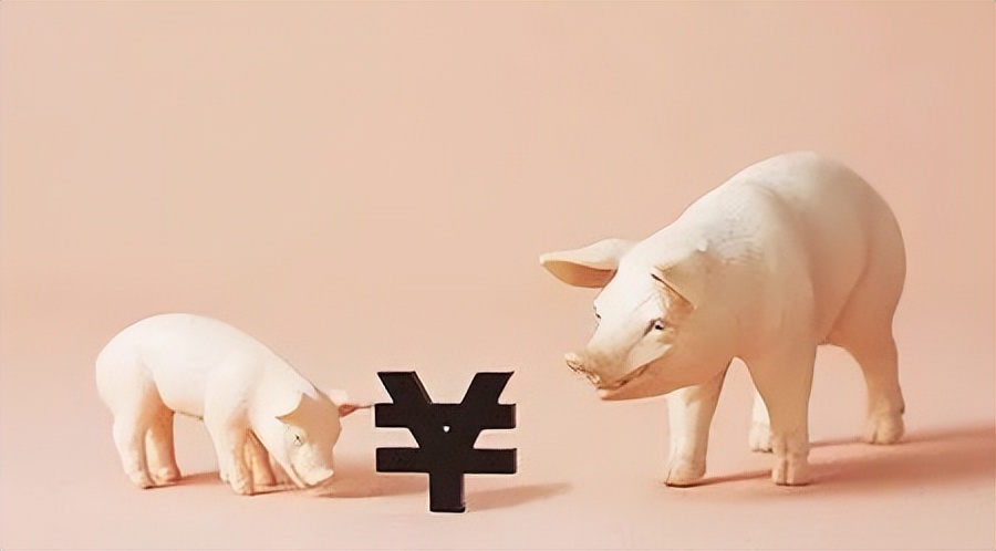 2023年10月09日全国各省市内三元生猪价格，节后猪价持续走跌，局部市场抗价情绪渐起！