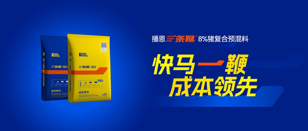 一条鞭8%