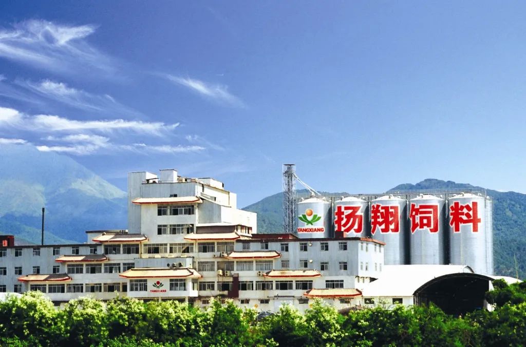 一颗饲料，为什么能做25年？重温扬翔饲料25年的时光画卷