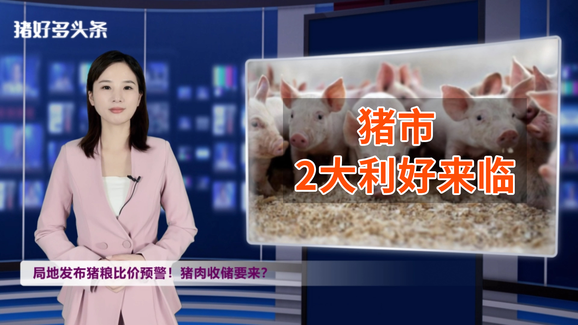 猪粮比价过度下跌二级预警！猪肉收储要来？猪市另有“1大利好”