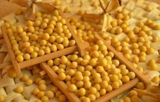 豆粕单月下跌超500元/吨，有利于猪企的盈利能力？