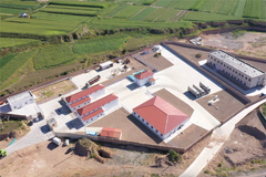 向前行 行在前 ｜ 家育种业积极探寻新机遇，助力养殖户提质增效应对新周期