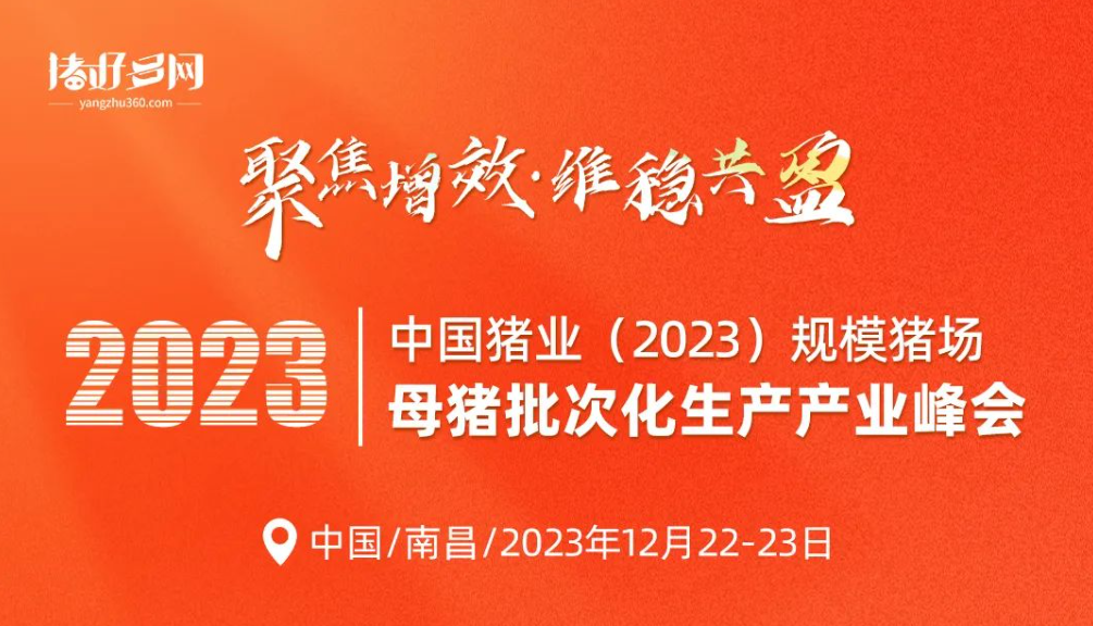 热烈祝贺宁波第二激素厂冠名赞助“中国猪业（2023）规模猪场母猪批次化生产产业峰会”高端晚宴