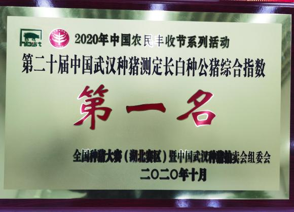 武汉金龙历届获奖冠军种猪