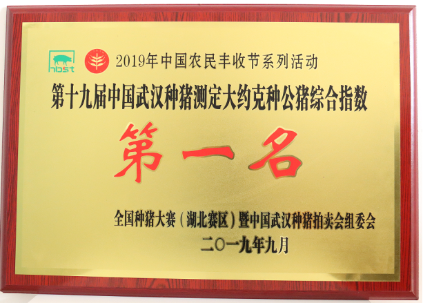 武汉金龙历届获奖冠军种猪