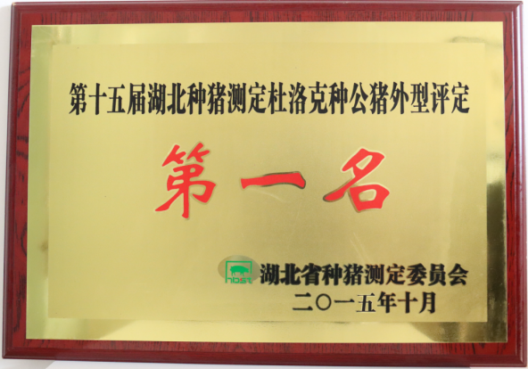 武汉金龙历届获奖冠军种猪