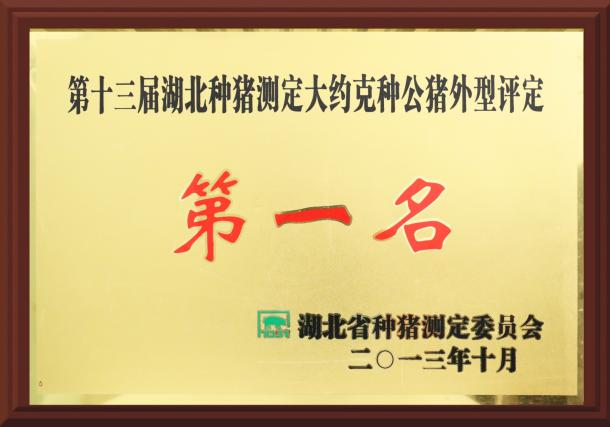 武汉金龙历届获奖冠军种猪