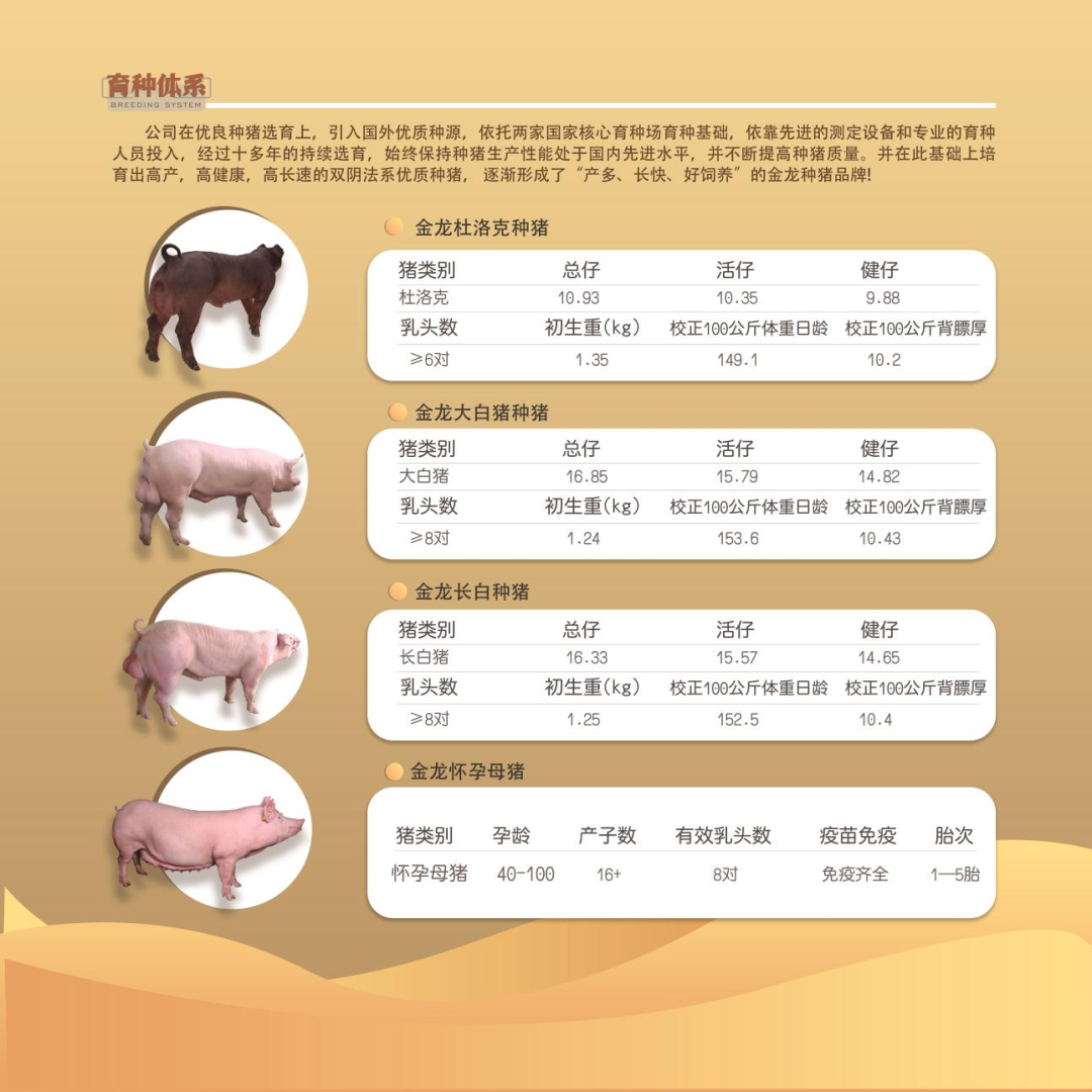 武汉金龙育种体系