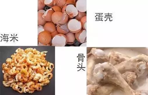 母猪产后易缺钙，什么原因？怎么应对？