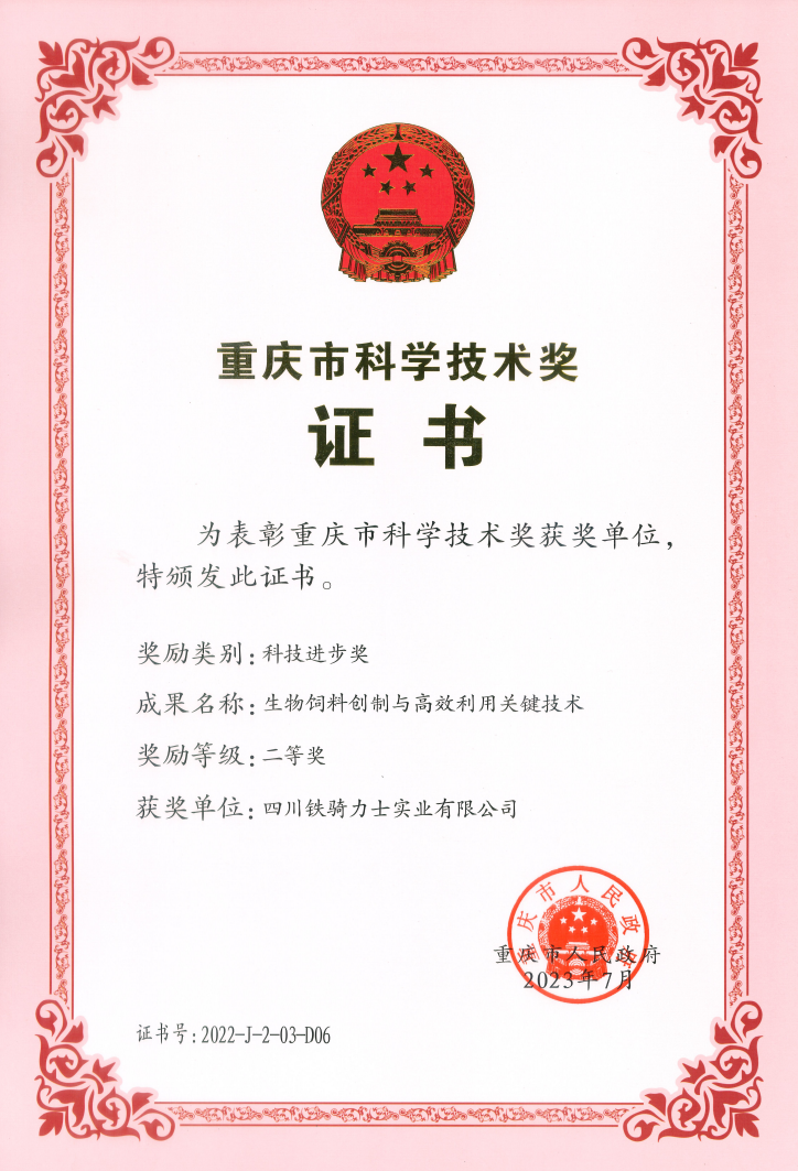 重庆市科技进步二等奖