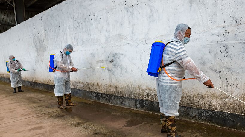 猪场的清洗和消毒都会做，那如何才能做到有效消毒呢？