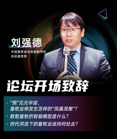 刘强德