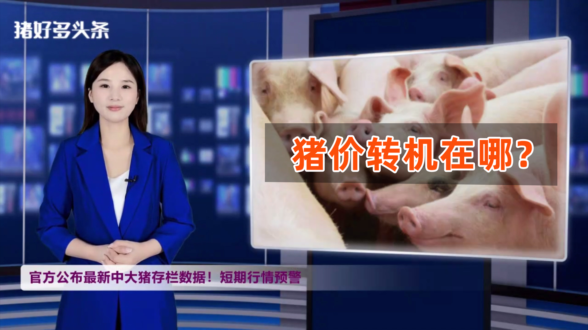 猪肉进口量同比增4.4%！淘汰母猪价格大跌！官方预警短期猪价