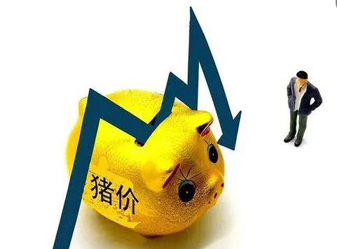 国家统计局：2023年10月中旬生猪价格15.3元/千克，环比下跌1.9%