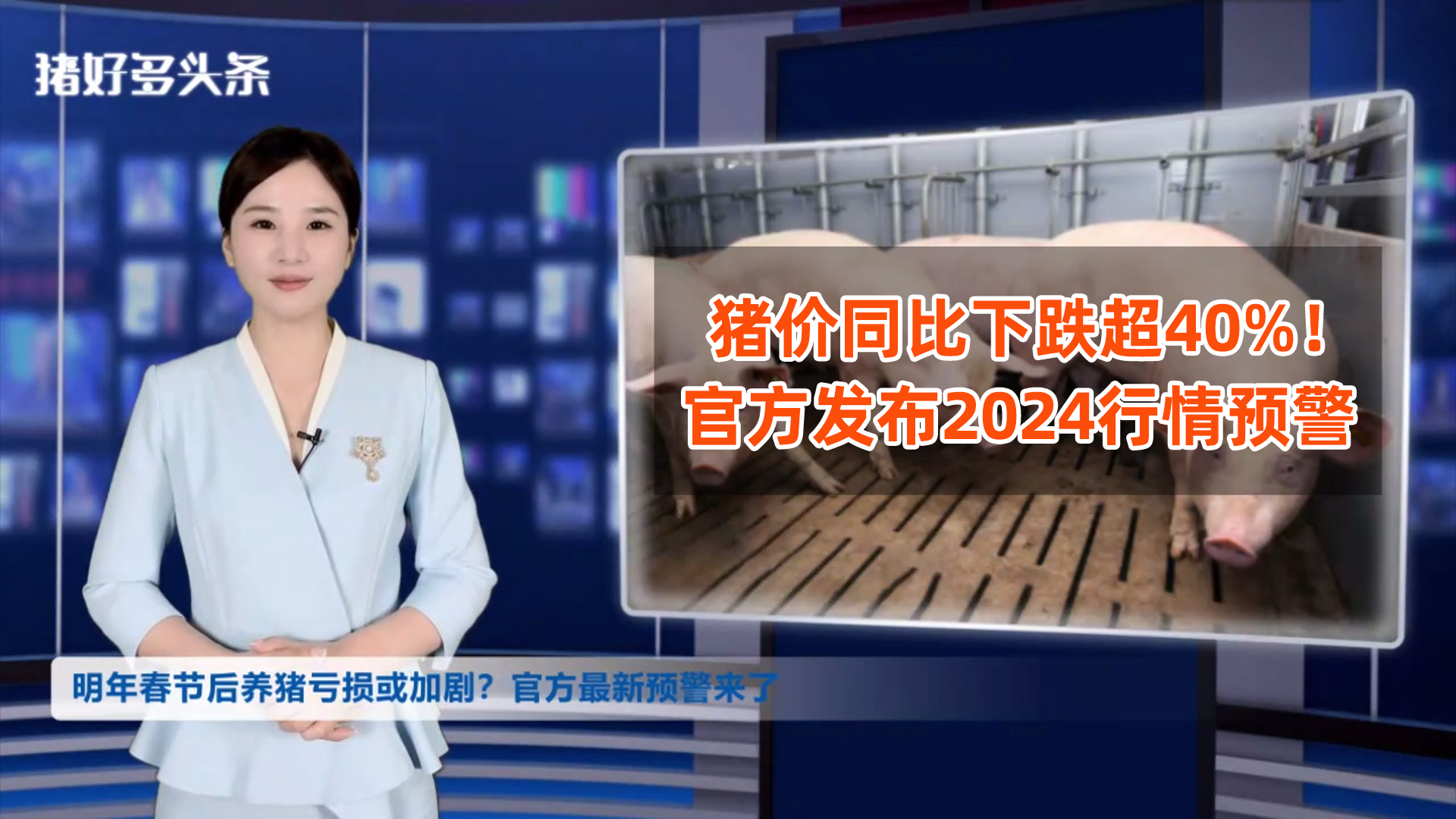 事关2024年猪价，官方发布最新预警！后市行情到底乐不乐观？