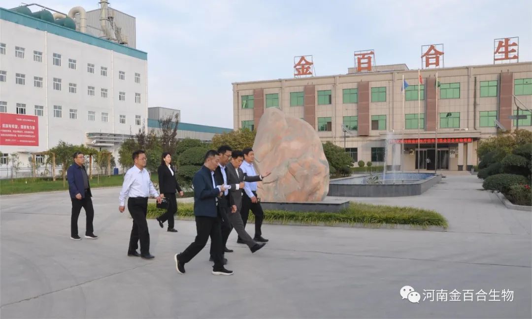 河南省科技厅领导一行莅临金百合生物考察调研