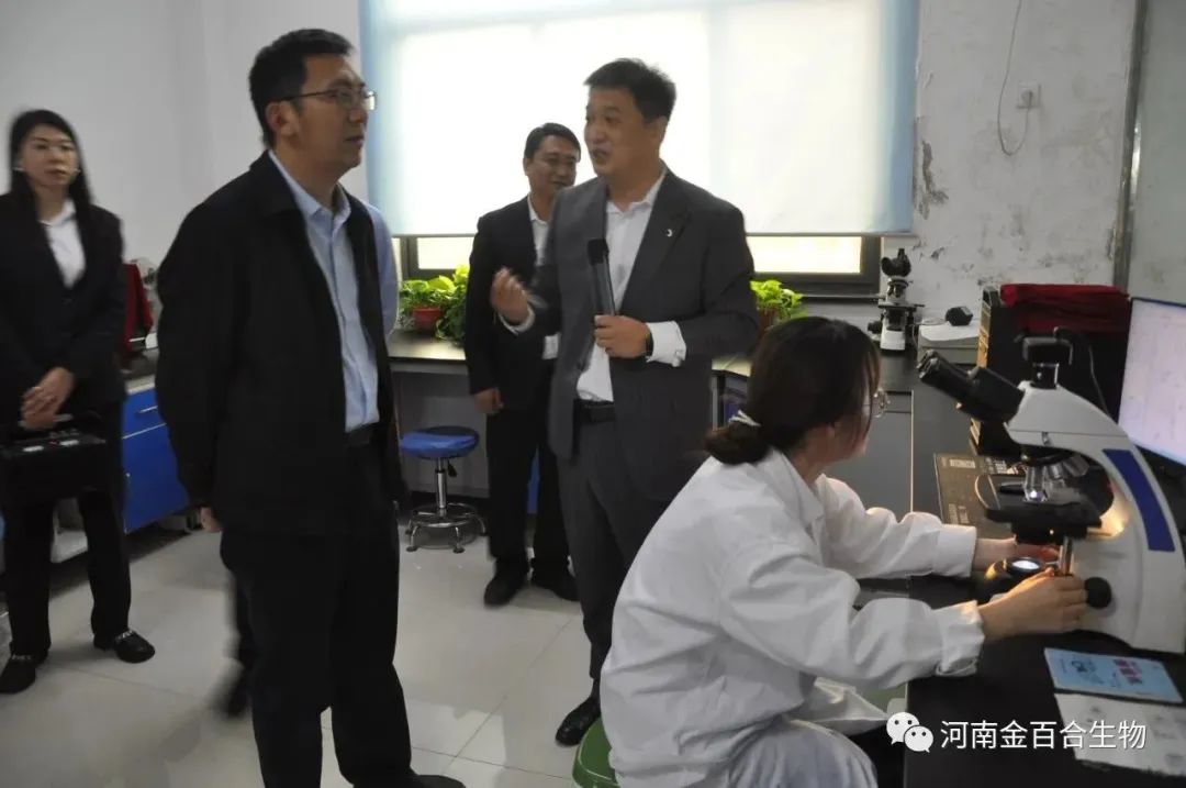 河南省科技厅领导一行莅临金百合生物考察调研