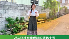 猪精品质决定效益！什么样的猪精算是好猪精？
