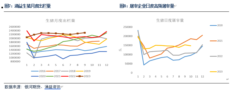 生猪出栏量