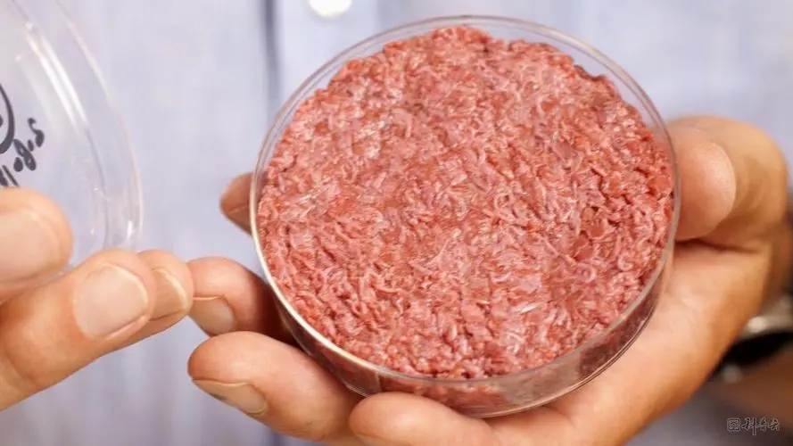 细胞培养肉产业化路径基本打通，中国将成为细胞培养肉最大的潜在市场