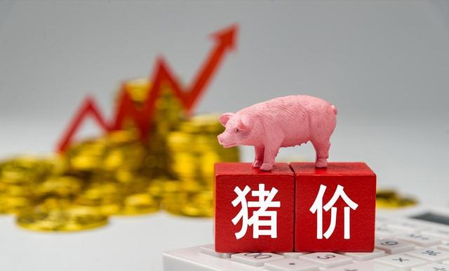 2连涨！猪价“坐火箭”，11月猪价或将徘徊在15.5~16元/公斤左右？