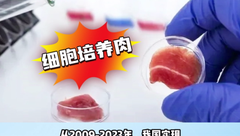 全球首次！ 不用养猪也能吃到猪肉
