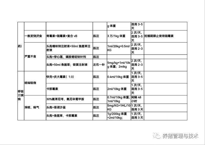用药方案