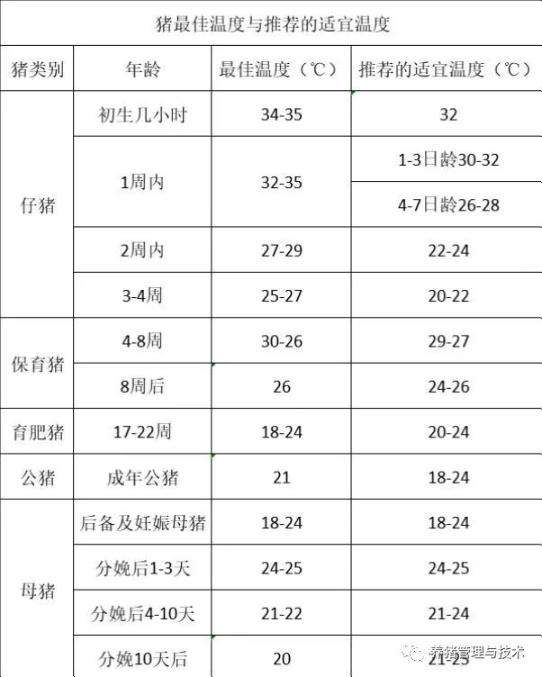 用药方案
