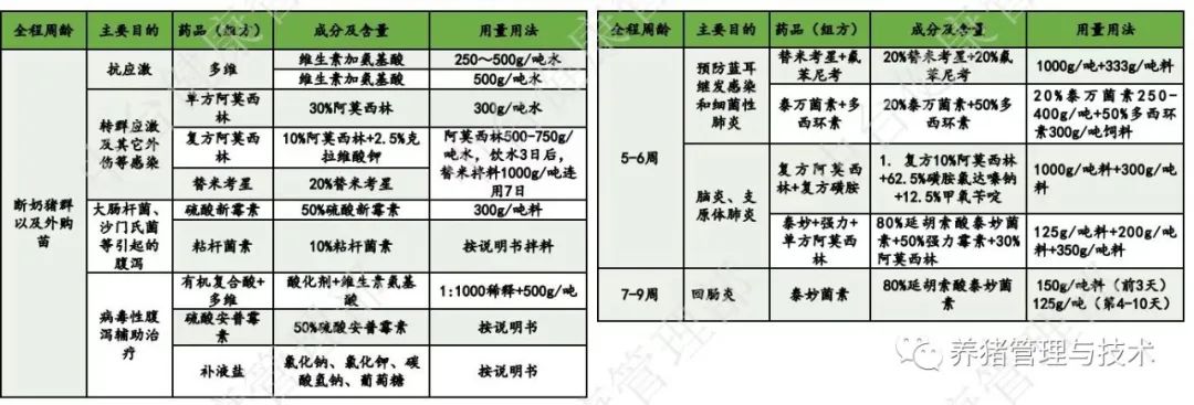 用药方案