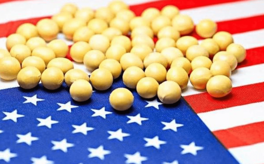 我国单日采购美国大豆的规模创近三个月新高，中国让步了？