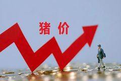 有地区涨1块多，未来半年生猪行情可期？