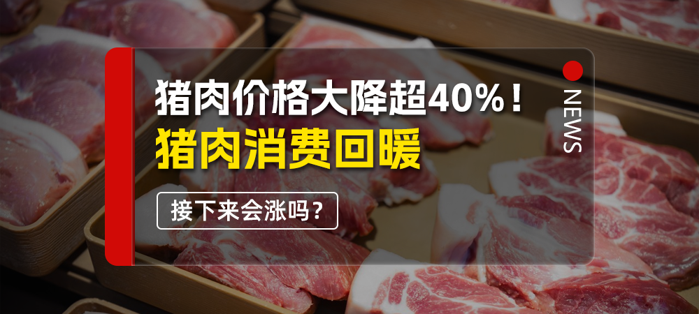 猪肉价格大降超40%！猪肉消费回暖，接下来会涨吗？