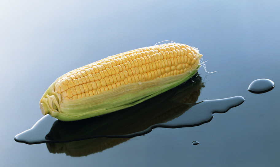 新玉米使用初期常见问题有哪些？