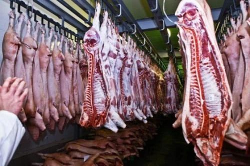湖南：每头猪亏损80多元 养殖企业提前出栏