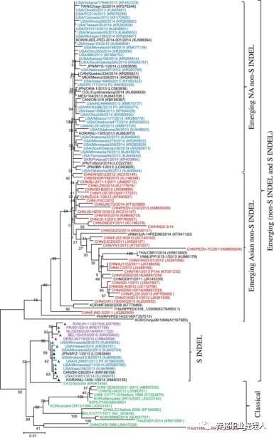 基于全基因PEDV毒株分群(Lin, et al. 2016)