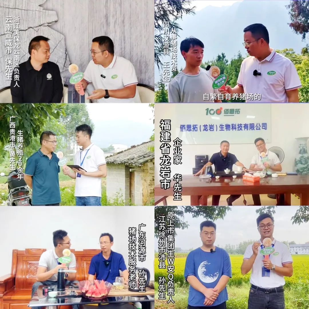 养猪达人寻找