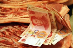 11月下半月猪肉价格或存在小幅上涨动力？