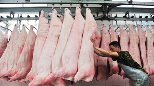 白条肉销售火爆，价格比去年同期降45.8%！猪价大幅上涨的可能性不大？