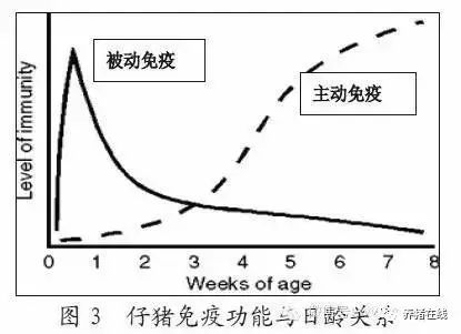 如何才能使仔猪顺利渡过断奶关？这篇文章很实用！